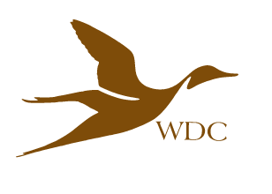 Wild Drake Clothing Company LLC logo